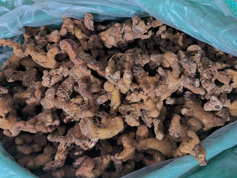 贵州深山老林野生多花倒苗姜型黄精干货