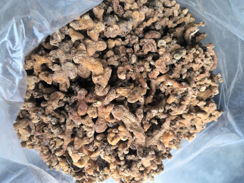贵州深山老林野生多花倒苗姜型黄精干货