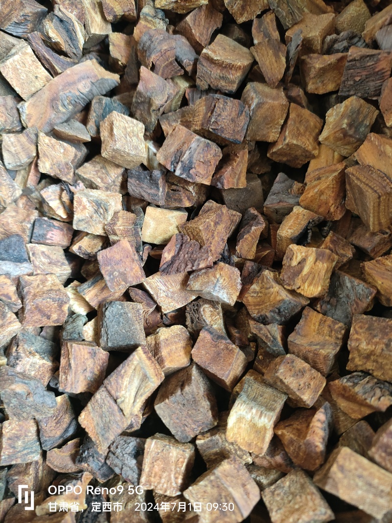高含量马蹄大黄丁包过全检甘肃陇西发货欢迎来电咨询。