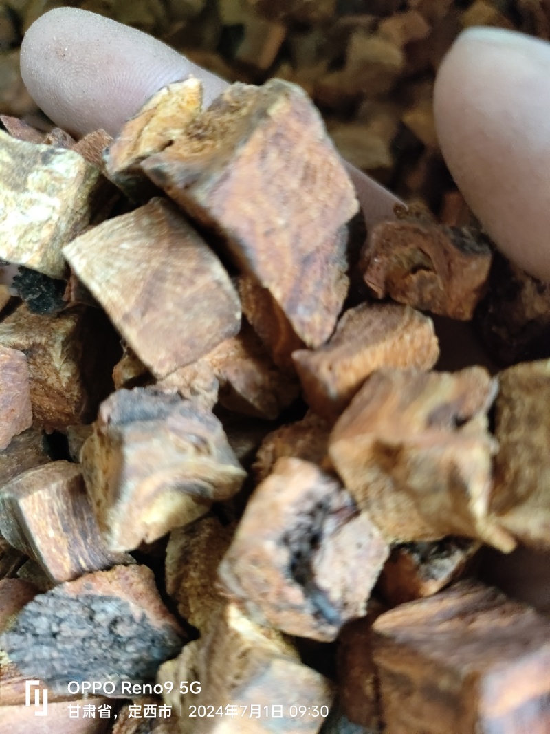 高含量马蹄大黄丁包过全检甘肃陇西发货欢迎来电咨询。