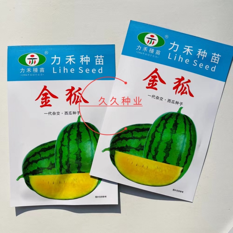 金狐西瓜种子薄皮椭圆形绿皮黄瓤西瓜种籽含糖量高耐储运