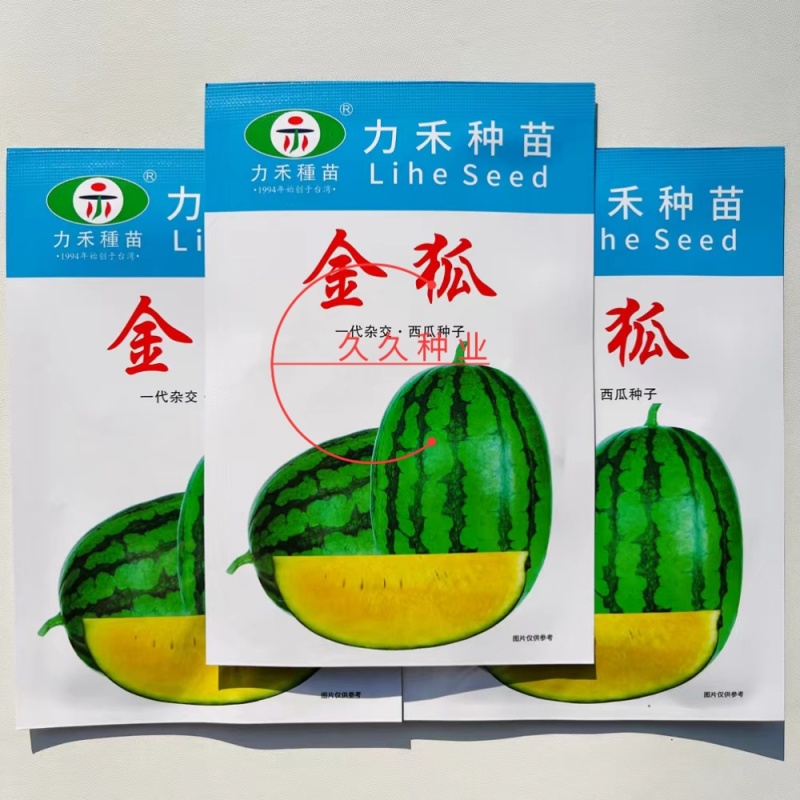 金狐西瓜种子薄皮椭圆形绿皮黄瓤西瓜种籽含糖量高耐储运