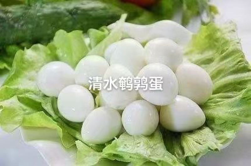 鹌鹑蛋，颗颗饱满，粒粒白嫩，适合火锅烧烤商超，农贸，团购