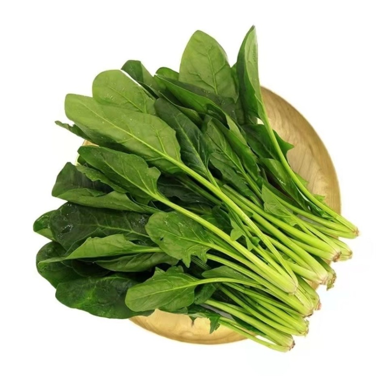 菠菜万亩原产地一手货源一件代发承接市场食堂电商等各大平台