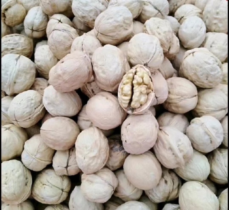 新疆薄皮核桃一手货源直发！398／70斤一袋。