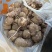 河南灵宝，优质芋头，品种8520，产地直发，大量供应