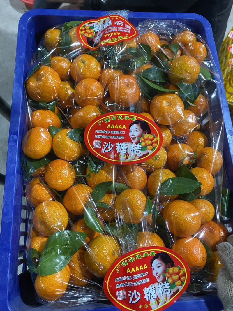 广西平南县沙糖桔大量上市，欢迎市场大亨，供应链平台，电商