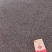 精品桔梗种子上市了