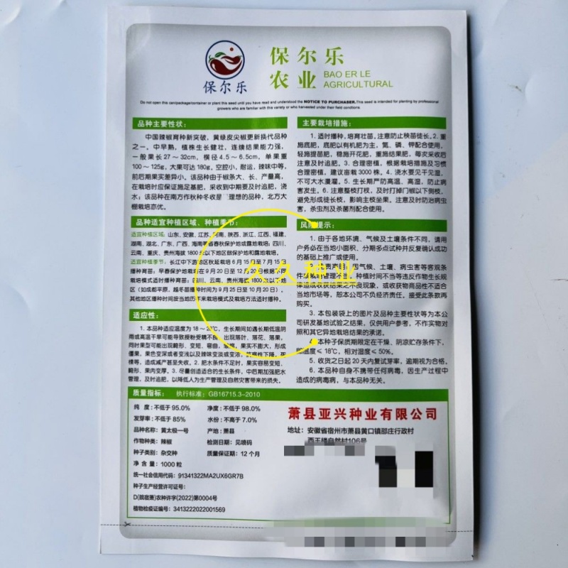 黄太极一号辣椒种子大果黄绿皮尖椒种籽中早熟长条羊角椒种籽