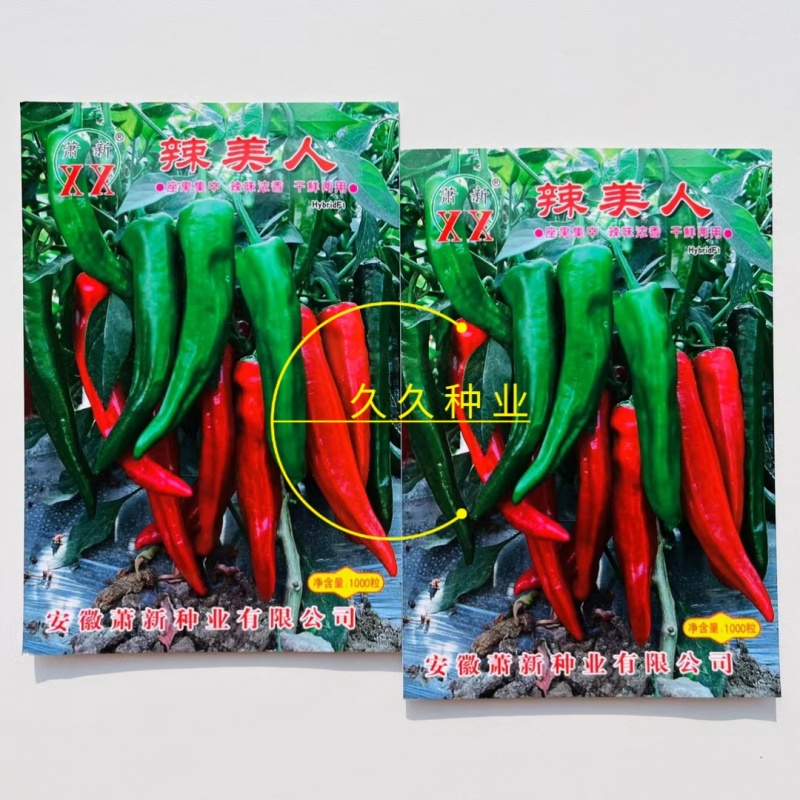萧新辣美人辣椒种子小尖椒种籽早熟干鲜两用基地专用蔬菜