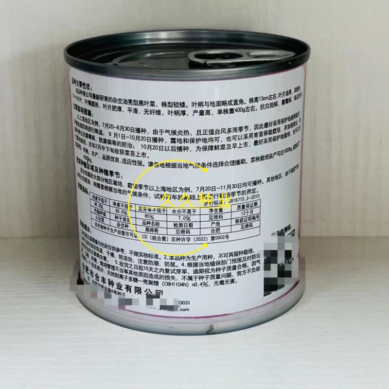 黑帅哥青菜种子杂交矮脚油亮黑叶青梗菜苏州青种籽农家秋季蔬