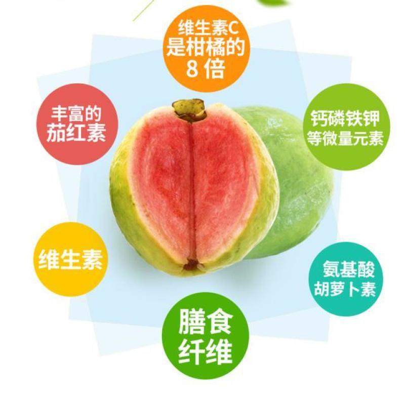 红心芭乐*红宝石芭乐*超甜芭乐*精品芭乐*精品番石榴