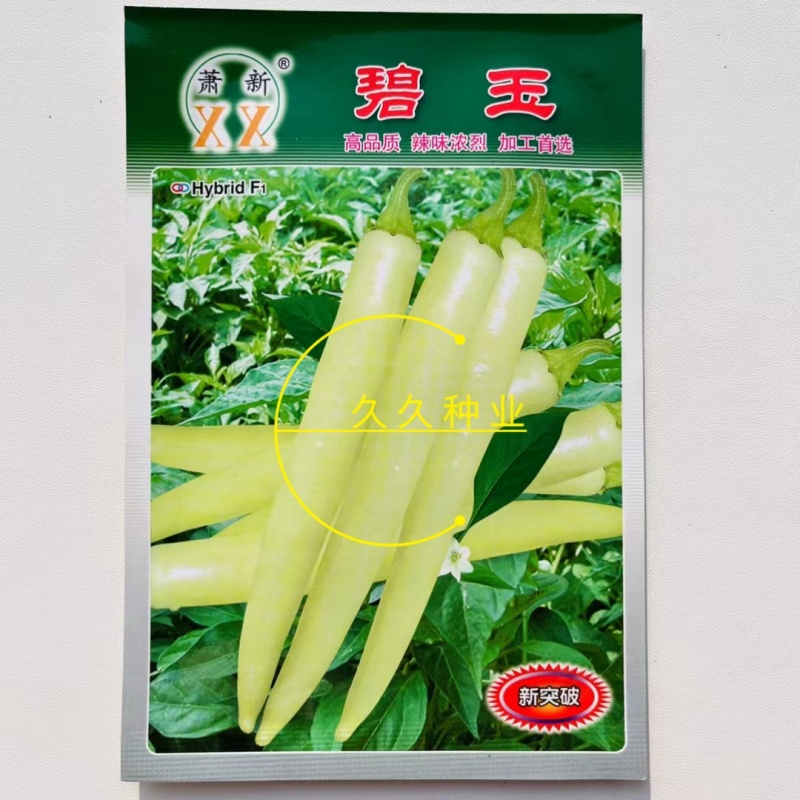 萧新碧玉辣椒种子籽早熟高产坐果能力强辣椒种子大田种植