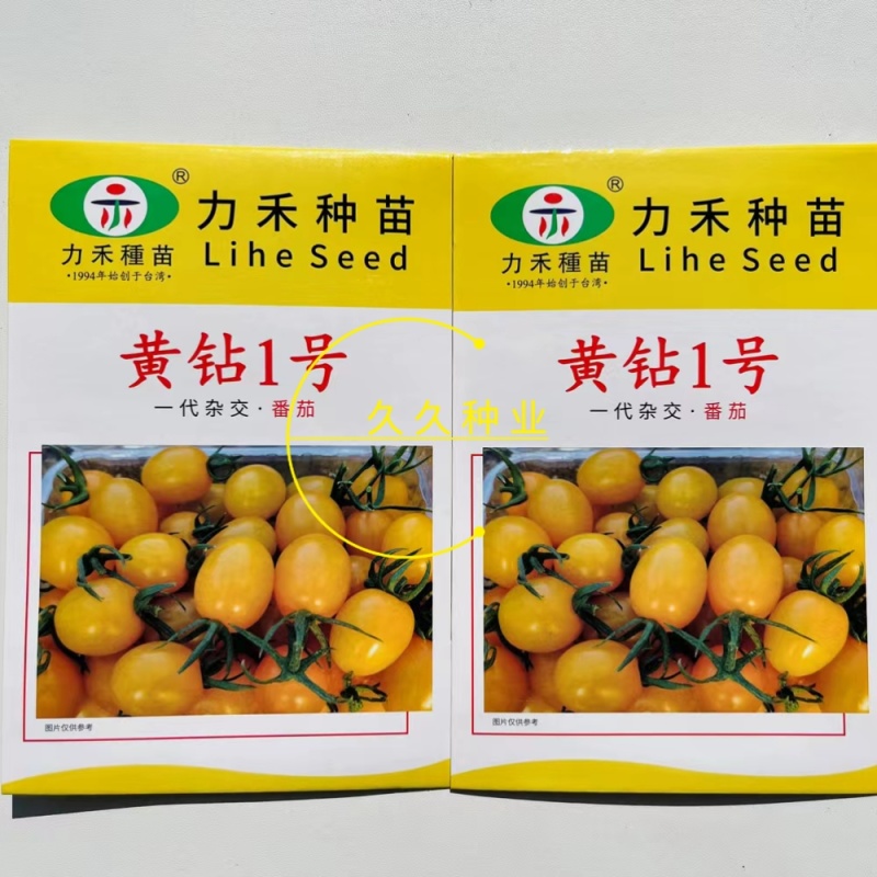 力禾黄钻1号小番茄种子无限生长型黄果小番茄种籽圣女果种籽