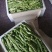 一点红油豆，黑老婆油豆大量上市！好货！好货！可代发。