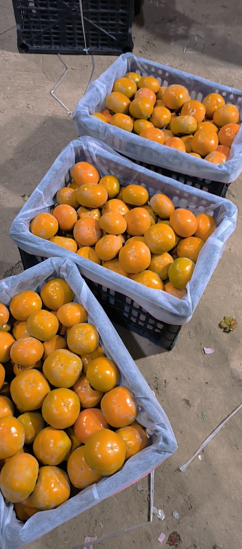 夏县特产