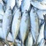 巴浪鱼、花池鱼、5~6条一斤长期有量适合各种餐饮用料