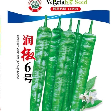 辣椒种子润椒6号品质型软皮羊角椒中早熟挂果能力强
