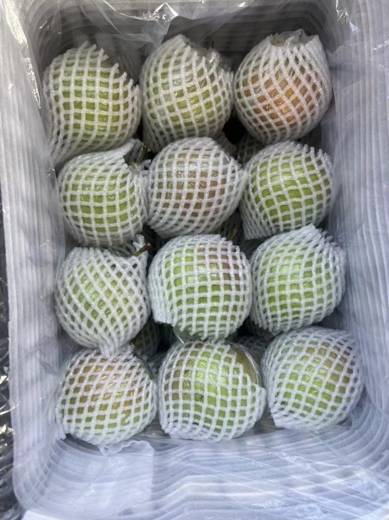 山西运城精品玉露香梨，口感脆甜，水分大进口化渣耐运输储存