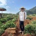 广西白鬼山药,黑鬼大量上市了,可供市场,社区团购,电商,