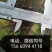 吉德杨杨树苗，无絮杨，吉德杨，南林3412，3804，