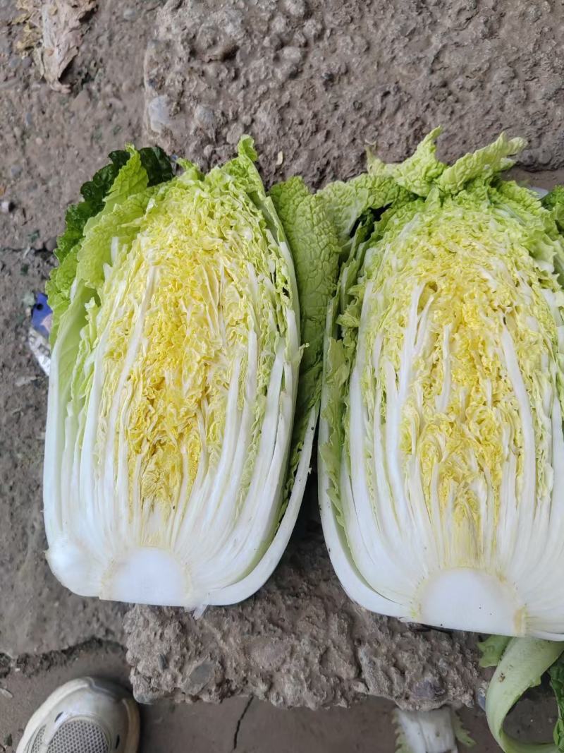 精品娃娃菜大量有货