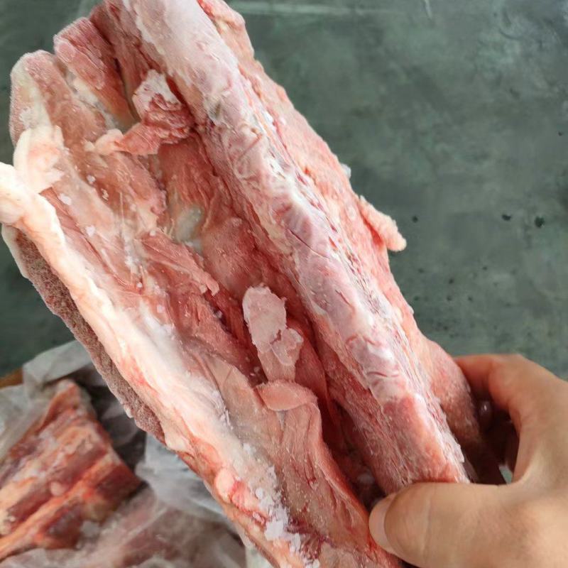 母猪龙骨