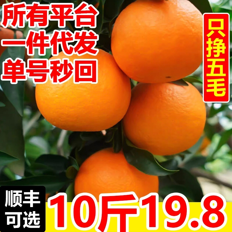 四川爱媛38号果冻橙一件代发鲜货大量上市