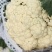 河南开封青梗白面有机花菜大量供应中