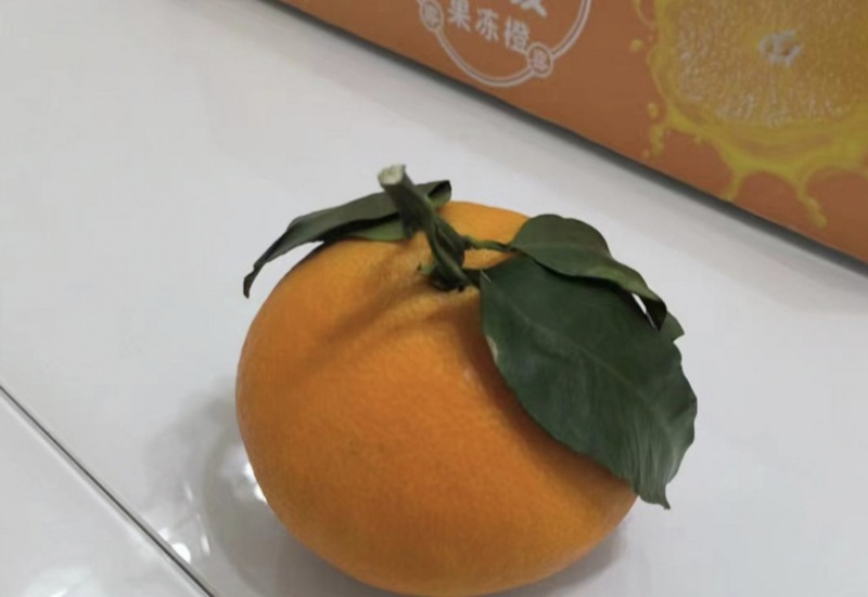 爱媛38号果冻橙，像果冻一样可以吸着吃的一款橙子。