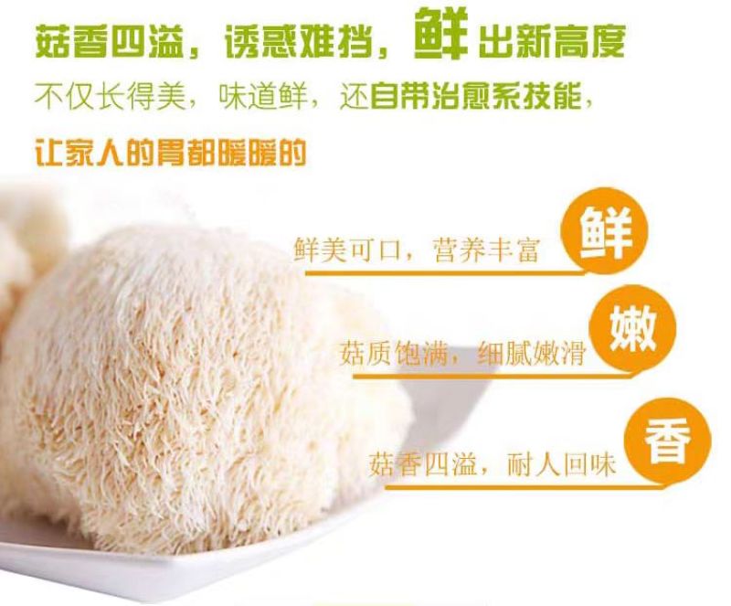 【鲜猴头菇】基地直供，一手货源，质量保证，欢迎采购