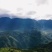 乌天麻，云南人种天养，真正的仿野生、有机，高山密林基地！