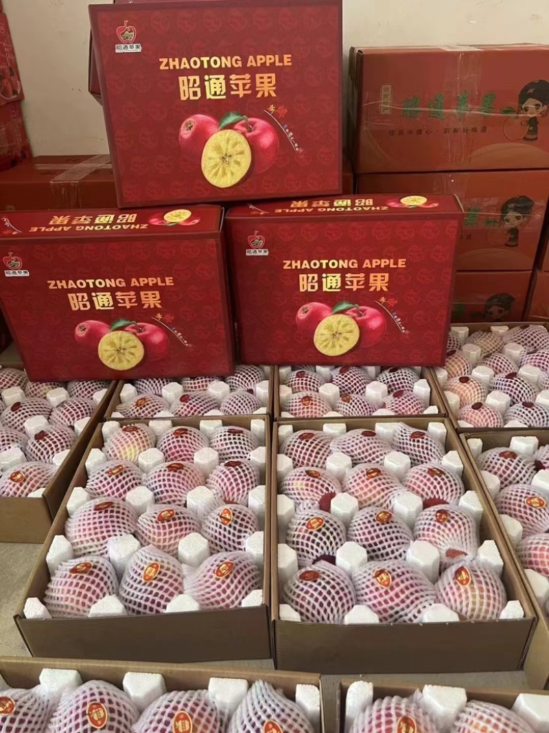 ［丑苹果］云南昭通糖心苹果上市供应，量大价优对接各种渠道
