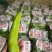 《推荐》精品尖椒河北邯郸量大价优