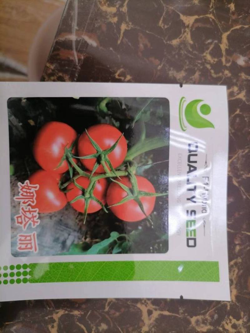娜塔丽优质抗死棵抗叶斑大红西红柿种子番茄种子种籽