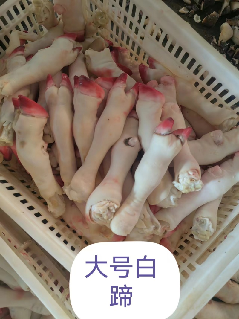 河南羊副产品-羊蹄厂家直发大量供货对接全国市场商超酒店