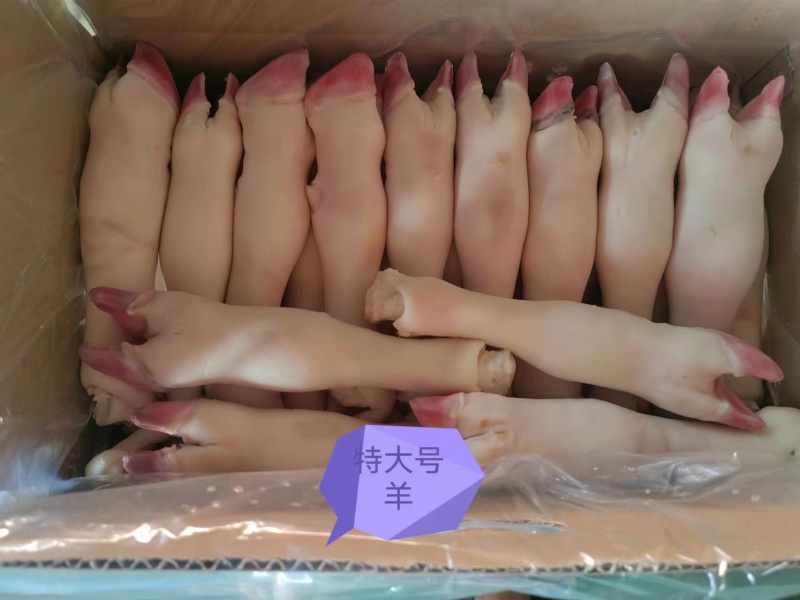 河南羊副产品-羊蹄厂家直发大量供货对接全国市场商超酒店