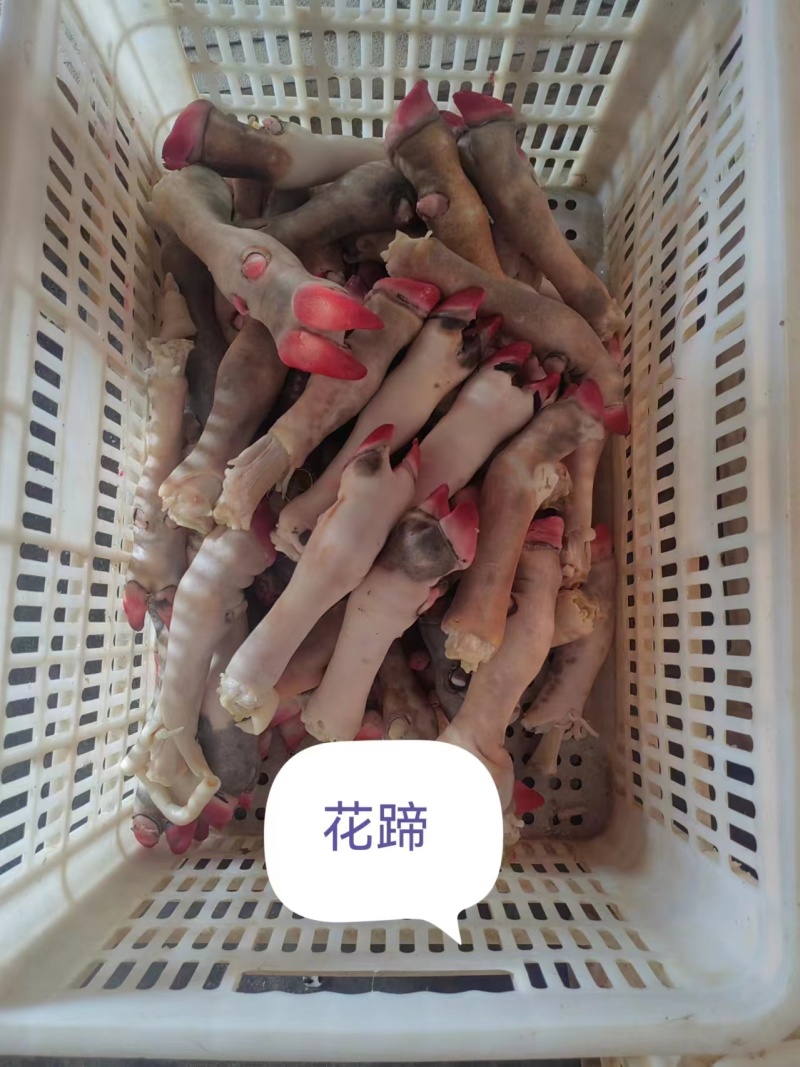 河南羊副产品-羊蹄厂家直发大量供货对接全国市场商超酒店