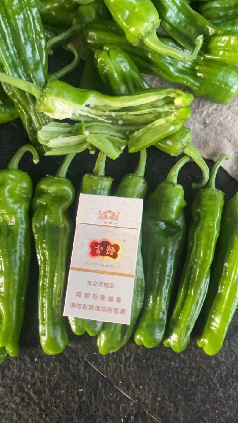万亩鲜辣椒大量有现货，价格实惠，代发代办