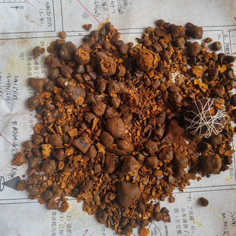 天然牛黄，干货