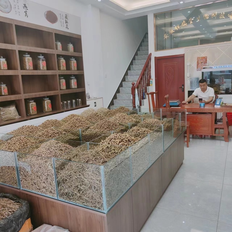 霍山石斛，浙江石斛，铁皮石斛干条。捆条