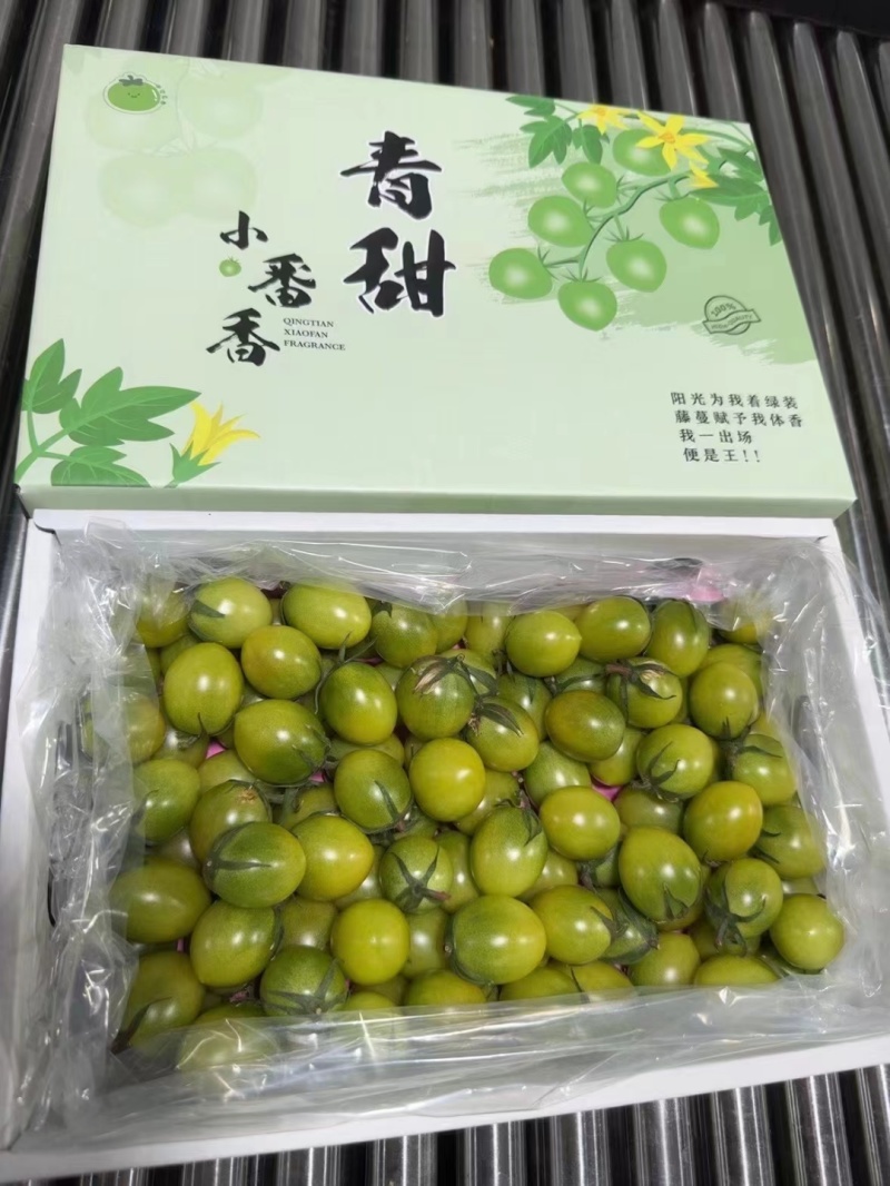 青田2号青番茄小番茄糖度12-16大量出货，欢迎电话联系