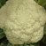 大量花菜