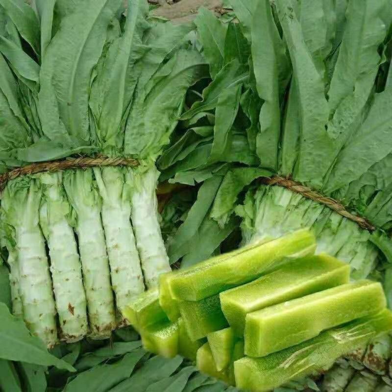 青莴苣苗带土发货