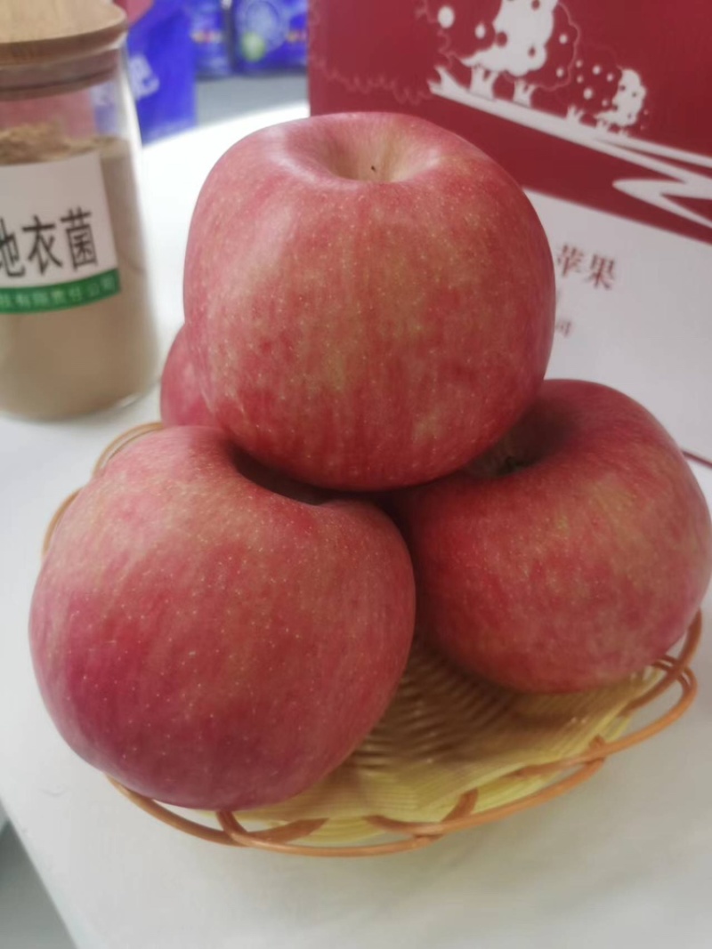 红富士苹果基地供应量大质优价格优惠一手货源欢迎采购