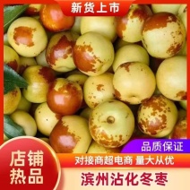 【一件代发】冬枣~抖音~快手~拼多多~电商货大量现货
