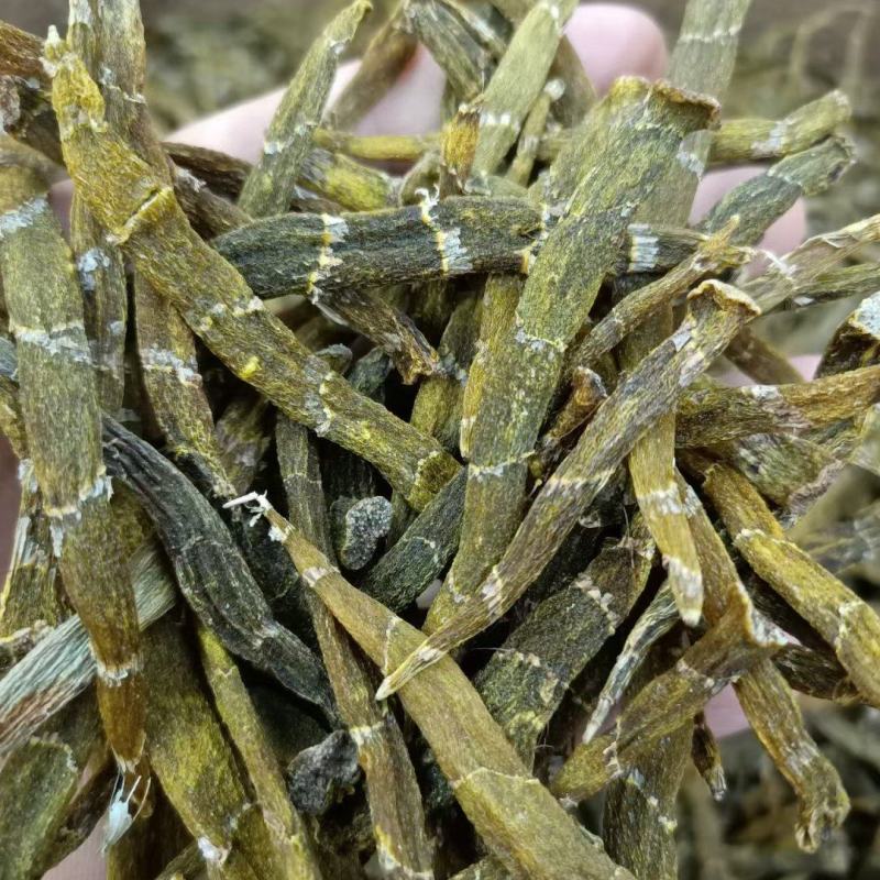 珍虫石斛条