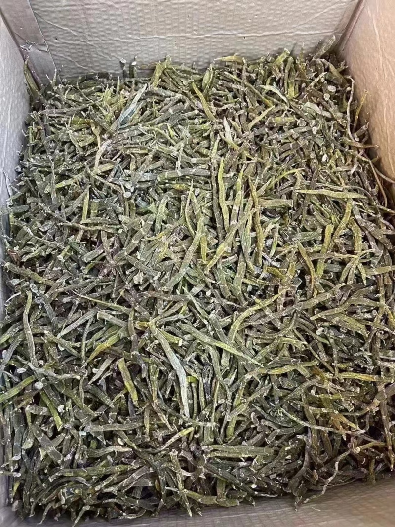 珍虫石斛条