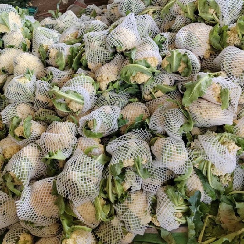 精品菜花白面青梗大量有货对接电商市场社区团购