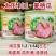 云南姜柄瓜种子太乐101飞碟瓜种子嫩南瓜种子瓜形美品质佳